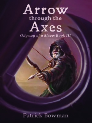 cover image of Arrow through the Axes